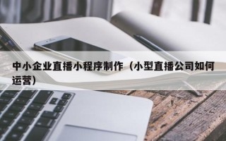 涟源中小企业直播小程序制作（小型直播公司如何运营）