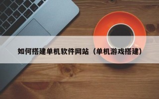 涟源如何搭建单机软件网站（单机游戏搭建）